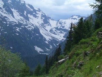 Vallon de Bérard