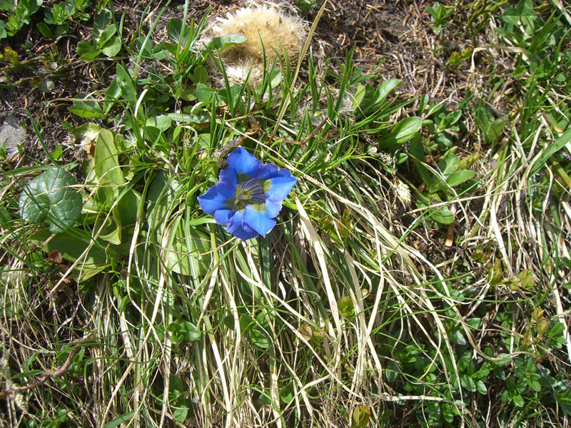 Kirchentag Mittelberg