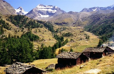 Alpe (Saas Fee ,Wallis)