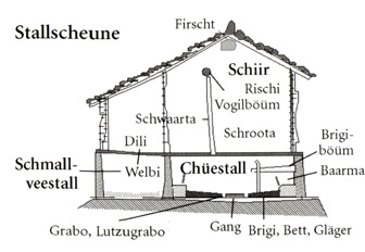 Stallscheune (Längsschnitt)