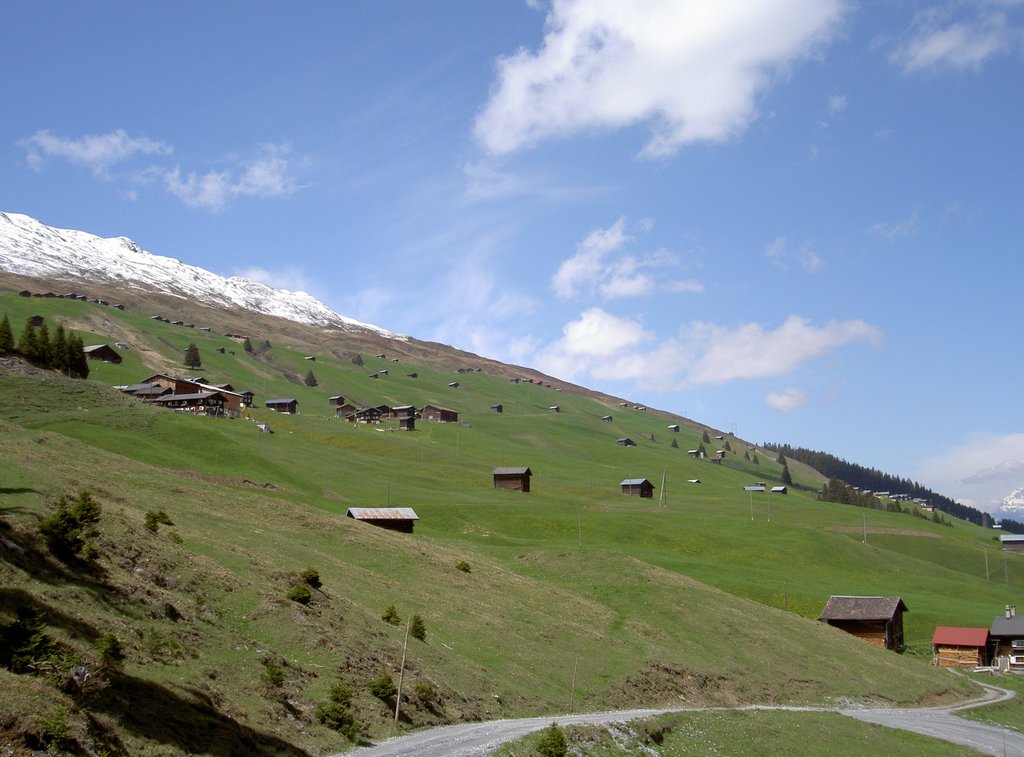 Siedlungsweise, Safien