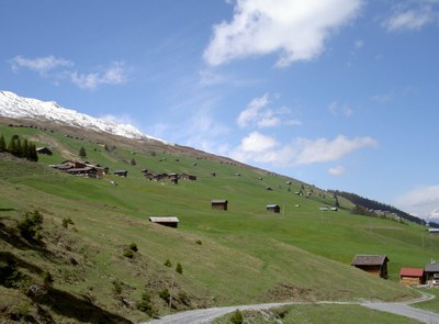 Siedlungsweise, Safien